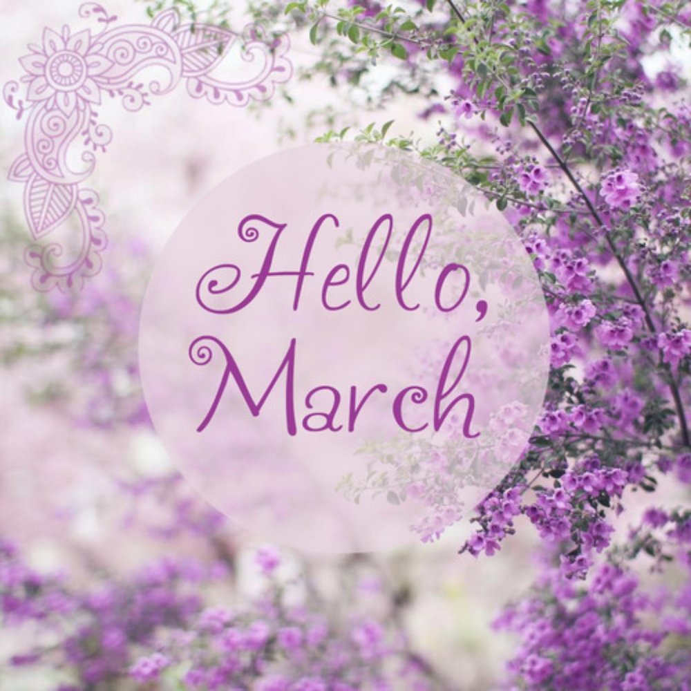 Happy March 2020!  Make me an offer!